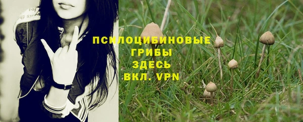 эйфоретик Лиски