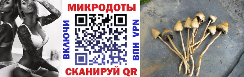 Галлюциногенные грибы Cubensis  Пушкино 