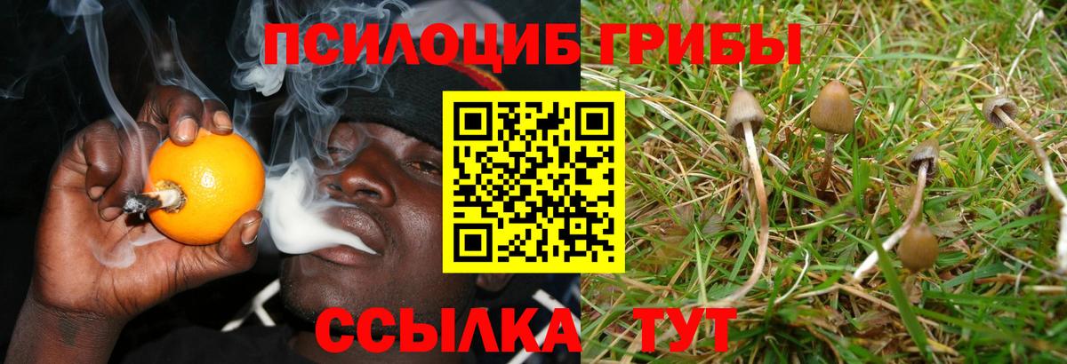 Пушкино  Галлюциногенные грибы MAGIC MUSHROOMS  Вход с VPN 